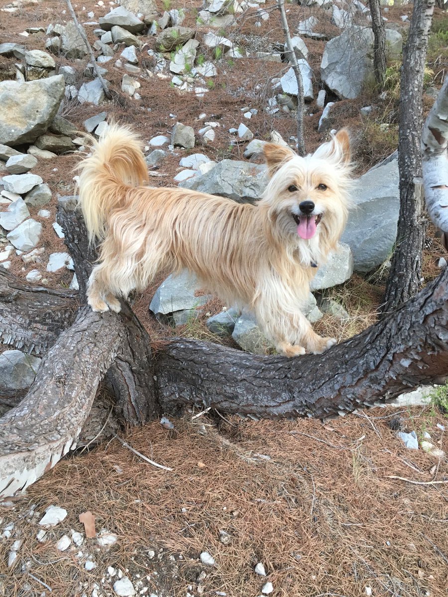 Beatrice Setruk tweet media