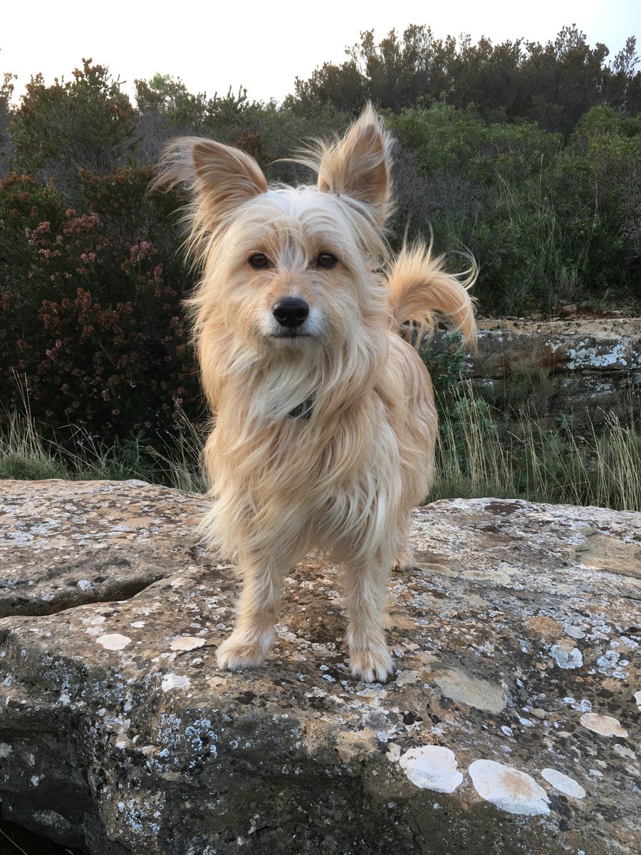 Beatrice Setruk tweet media