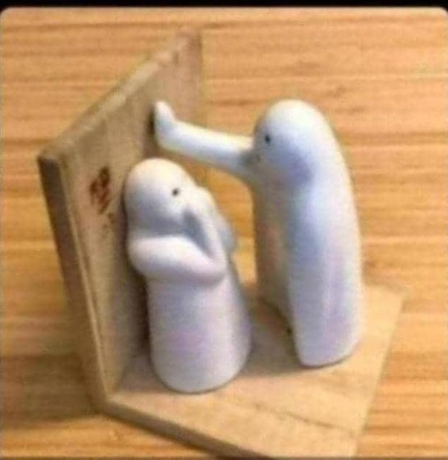 fidexCode tweet media