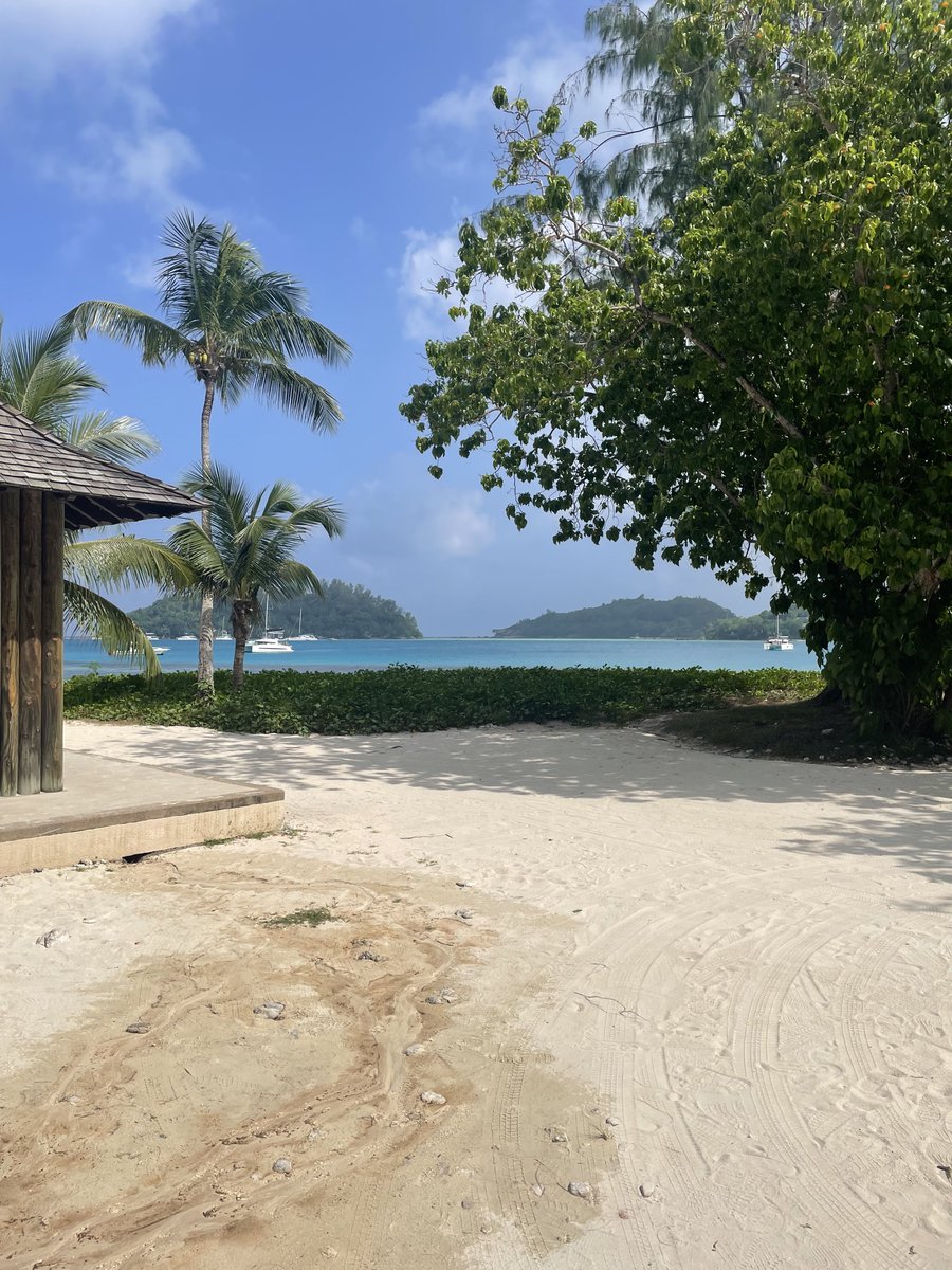 Tom Grant tweet media