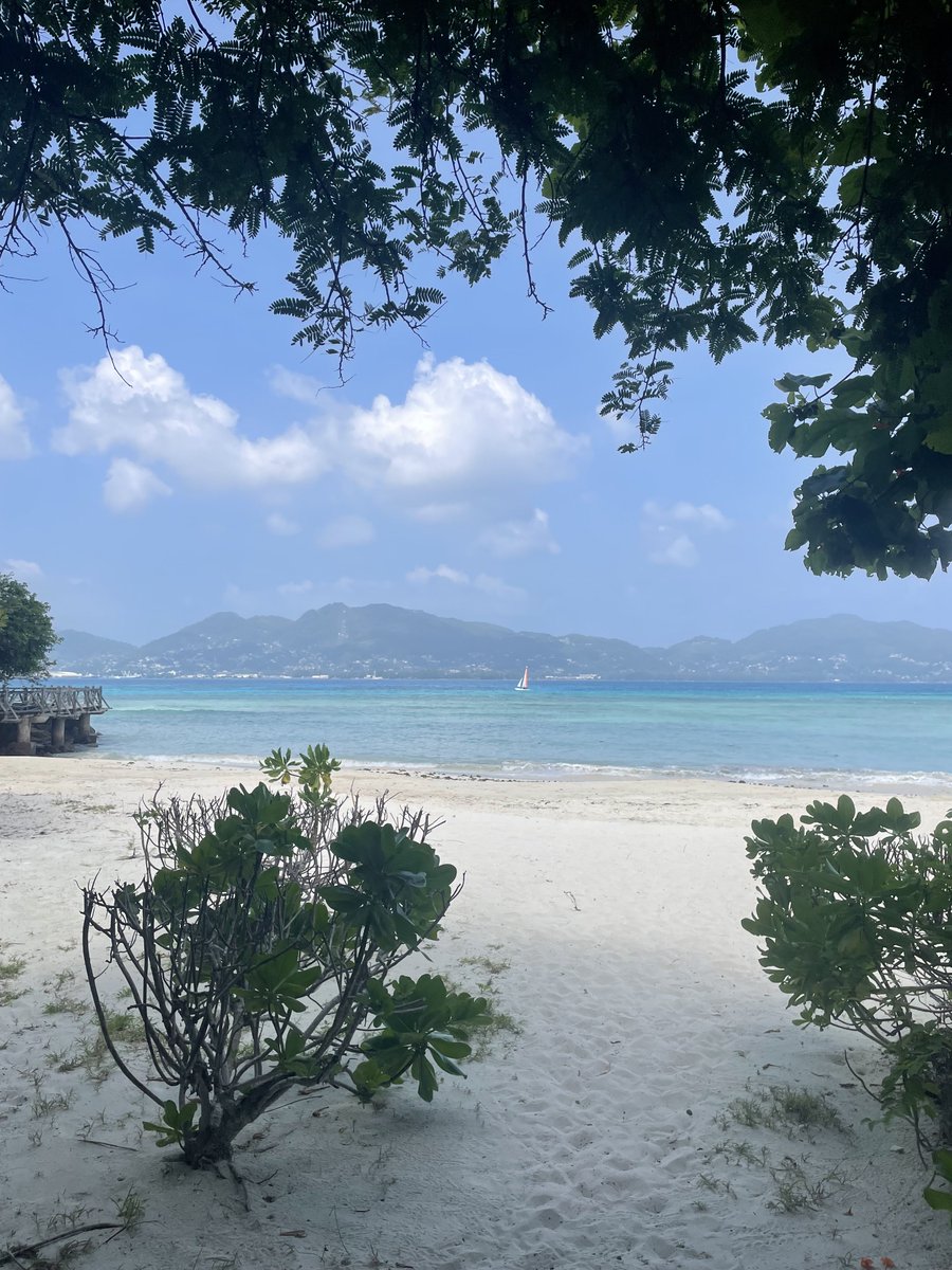 Tom Grant tweet media