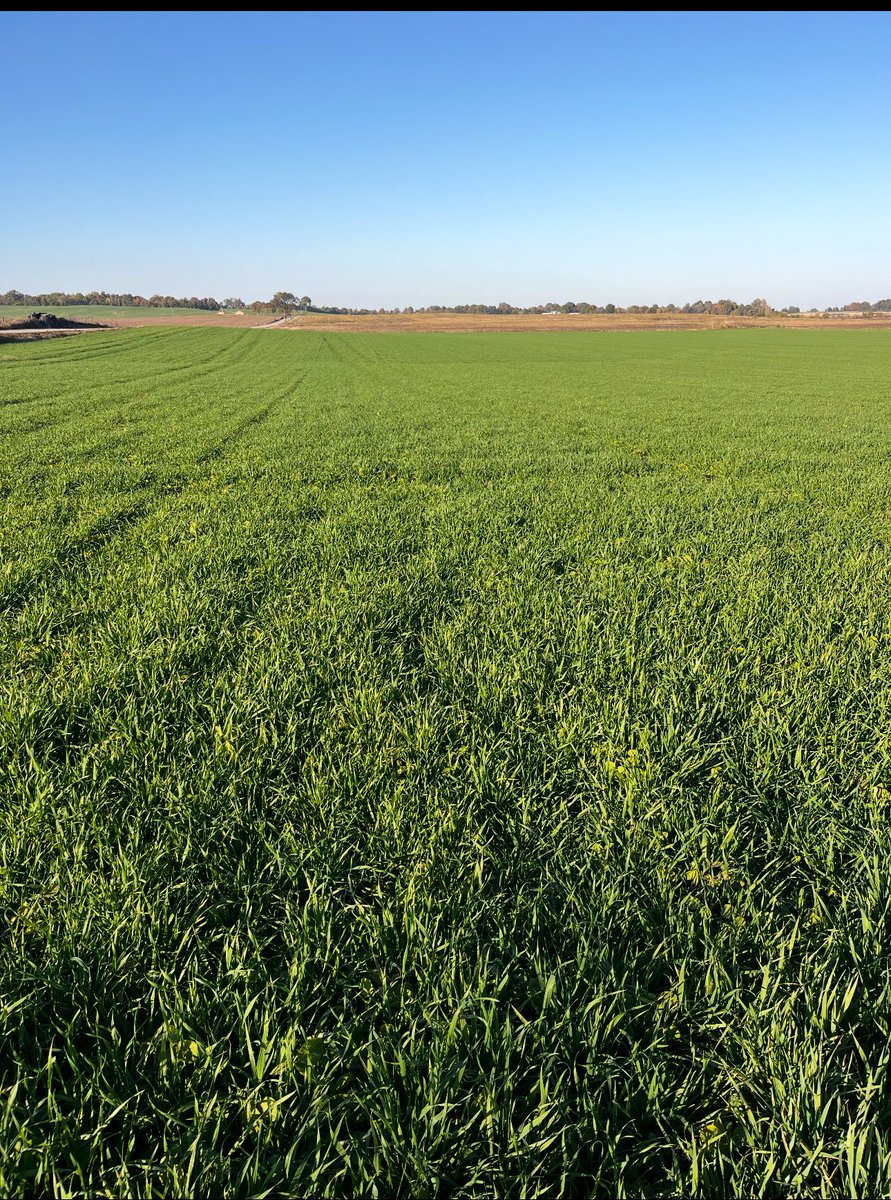 Bodie Kitchel tweet media