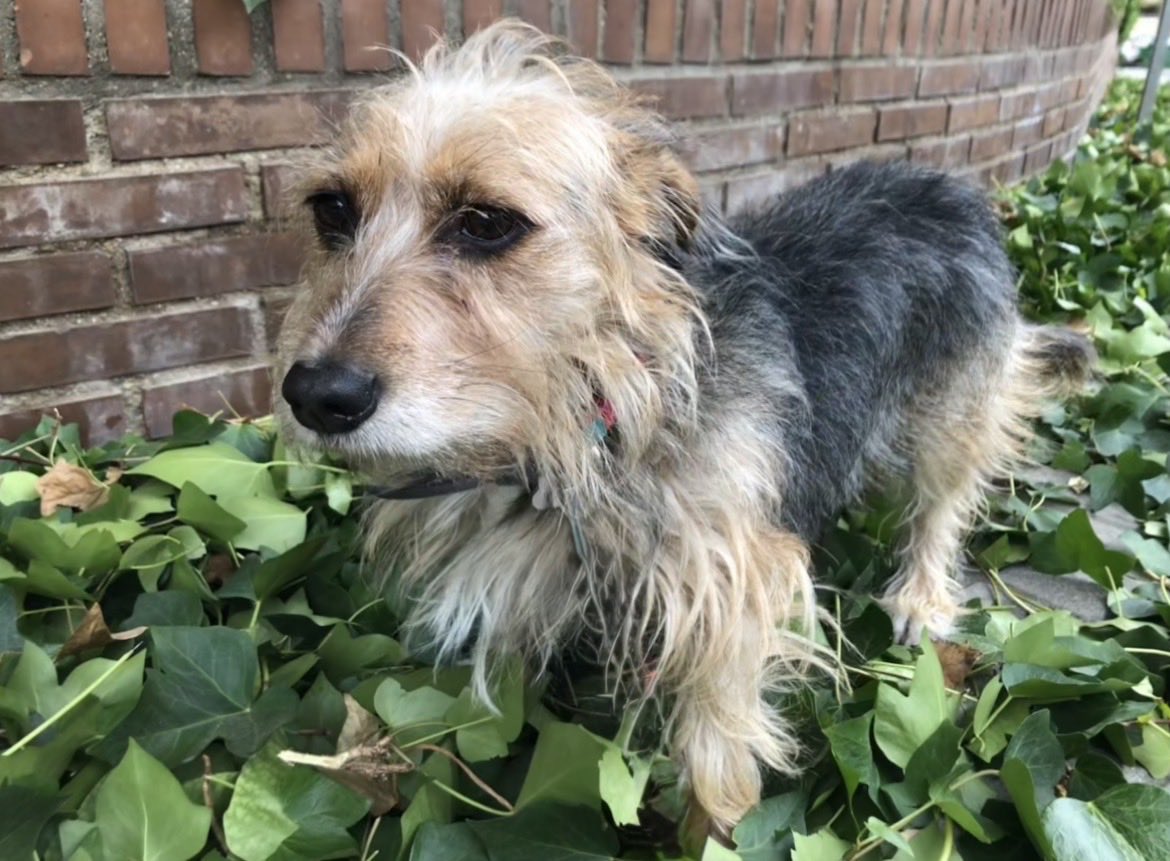 C. Allott tweet media