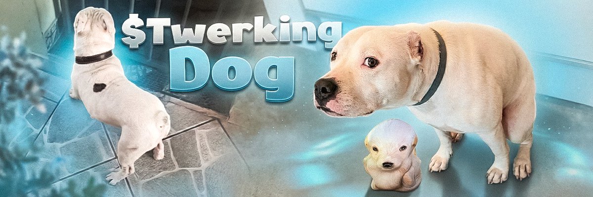 LevanInSolana's tweet image. 60 MILLION VIEWDS ON A SINGLE VIDEO IN LESS THEN A WEEK AND ITS NOT BONDED YET????

I dont know how we are missing this but i see this gif under every video on TikTok rn 

tiktok.com/@marcosgabriel…

All the comments are fluded with this GIF 

Gonna pay dex at 15k

$TwerkingDog…