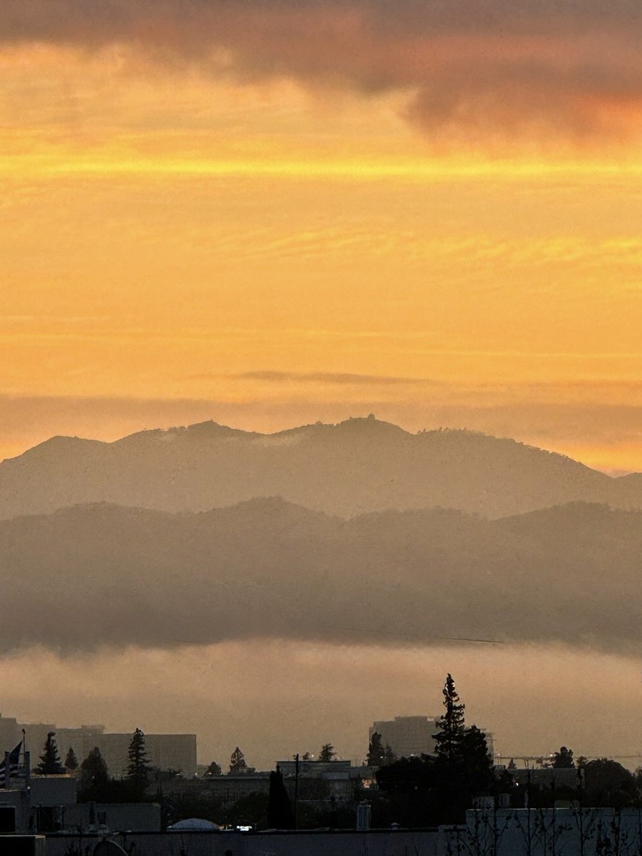 HarriganCath's tweet image. Your #SundayYellow #layers from the February '24 archives. 

#ThePhotoHour #SundayShare