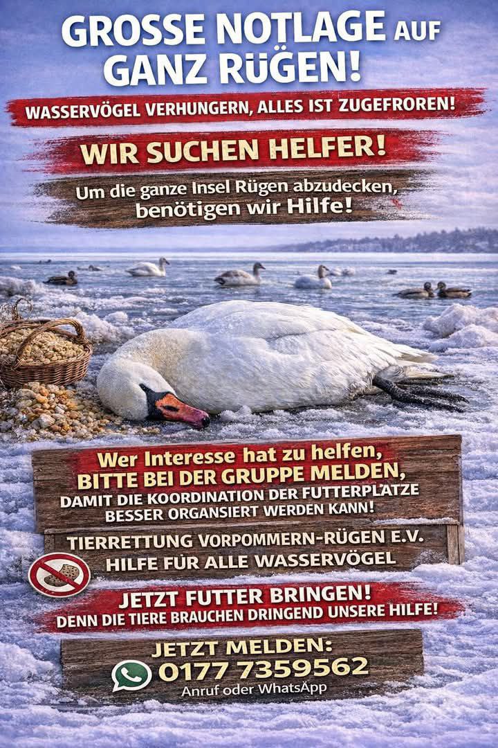 Bitte teilen 

Danke ♥️