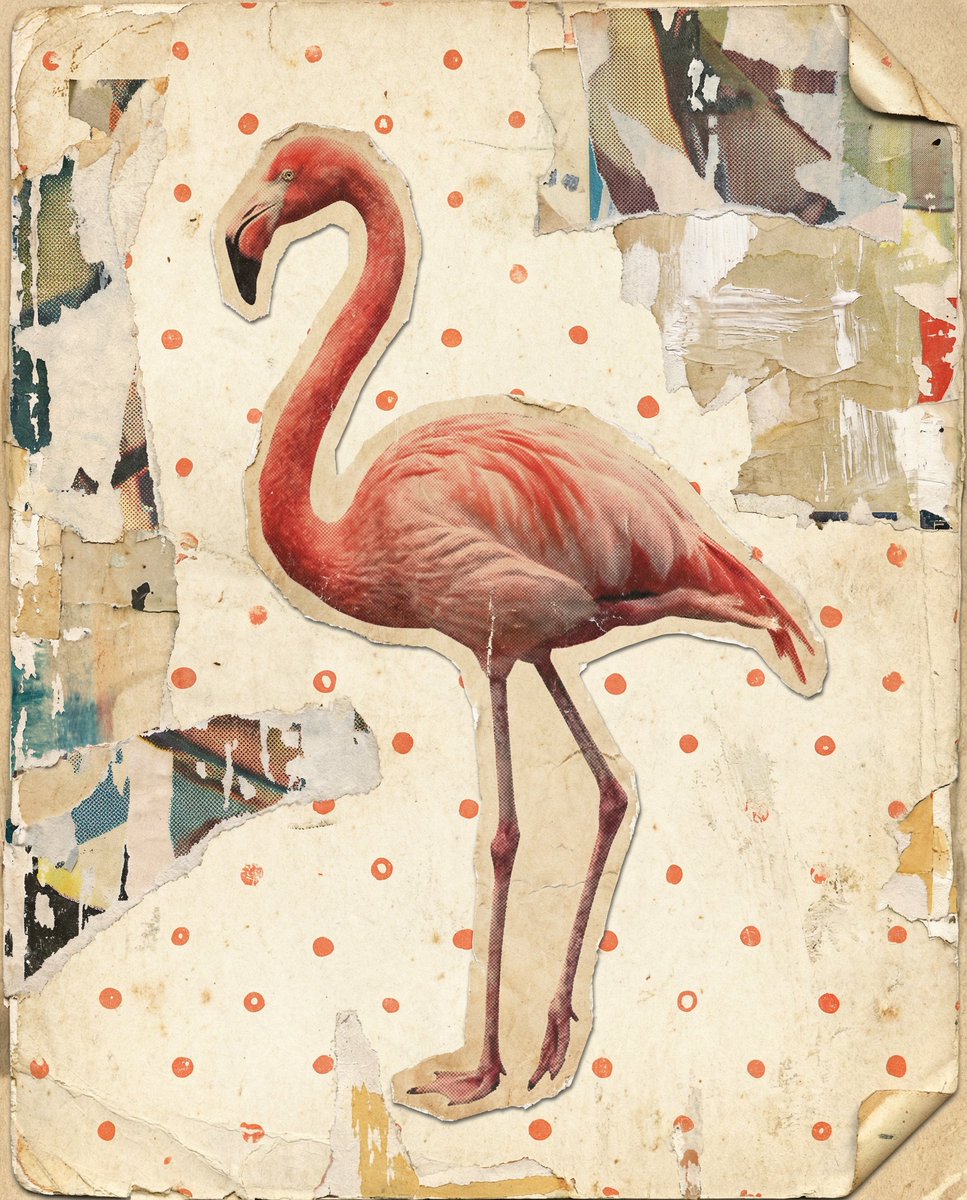 heathergreen's tweet photo. #promptshare with Nano Banana Pro using @freepik
✨Plus my custom style: #cutpapercollage https://t.co/R9iqklIXWp 👈Link will open Freepik's AI generator and preload my style for you.
👉PROMPT: A vibrant, stylized pink flamingo stands against a textured, cream-colored background dotted with small, irregular orange-red circles. The flamingo is depicted in profile, facing left, with its long, curved neck forming an elegant S-shape. Its body is a rich pink, with lighter pink and white accents highlighting the feathers on its back and wings. The legs are thin and pink, with visible joints. The beak is a stark black, contrasting with the flamingo's bright plumage, and its eye is a small, bright blue dot. The overall style is graphic and painterly, with visible brushstrokes or texture that give it an artistic, almost pop-art feel.