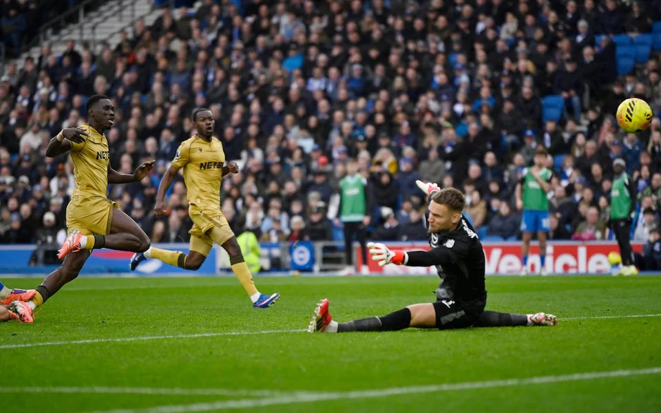 The Brighton Base tweet media