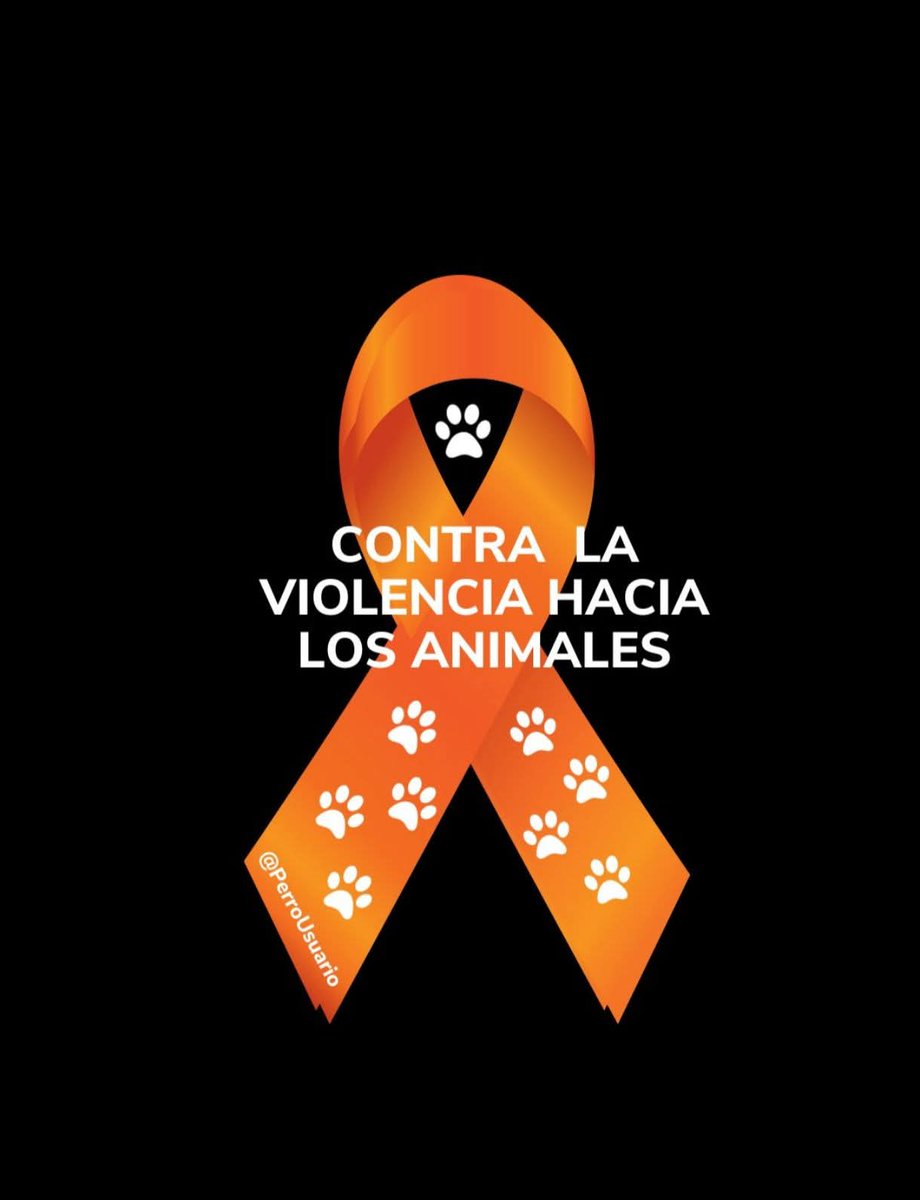 Sabueson (@sabueson) on Twitter photo 