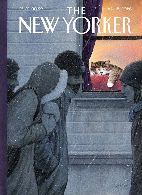 SarahYanezR's tweet photo. Today, I’m hibernating. New York is colder than the North Pole. https://t.co/hEEliSjBAa