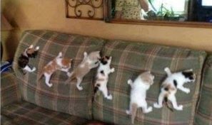 실내러닝..(?) 3일차!
클라이밍장에서 우다다 뛰어서 돌 위에 섰어요!