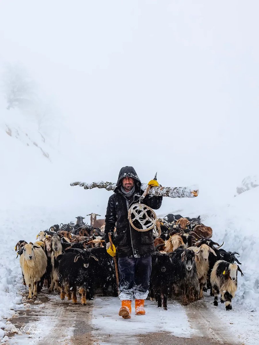 Dersim
Fotoğraf 
Malik Kaya