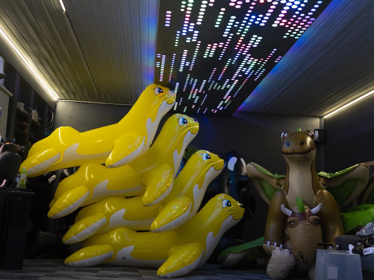 Buteo Mlvus tweet media