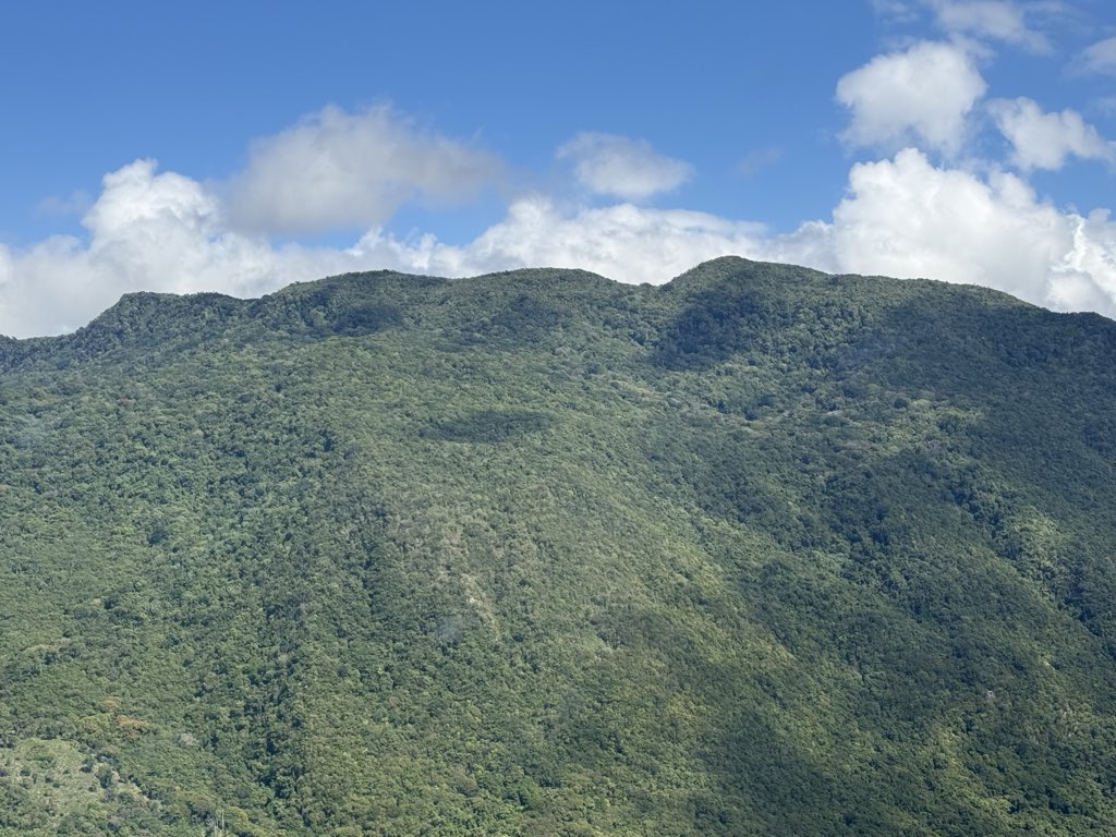 Fernando Anibal Capellan Peralta tweet media