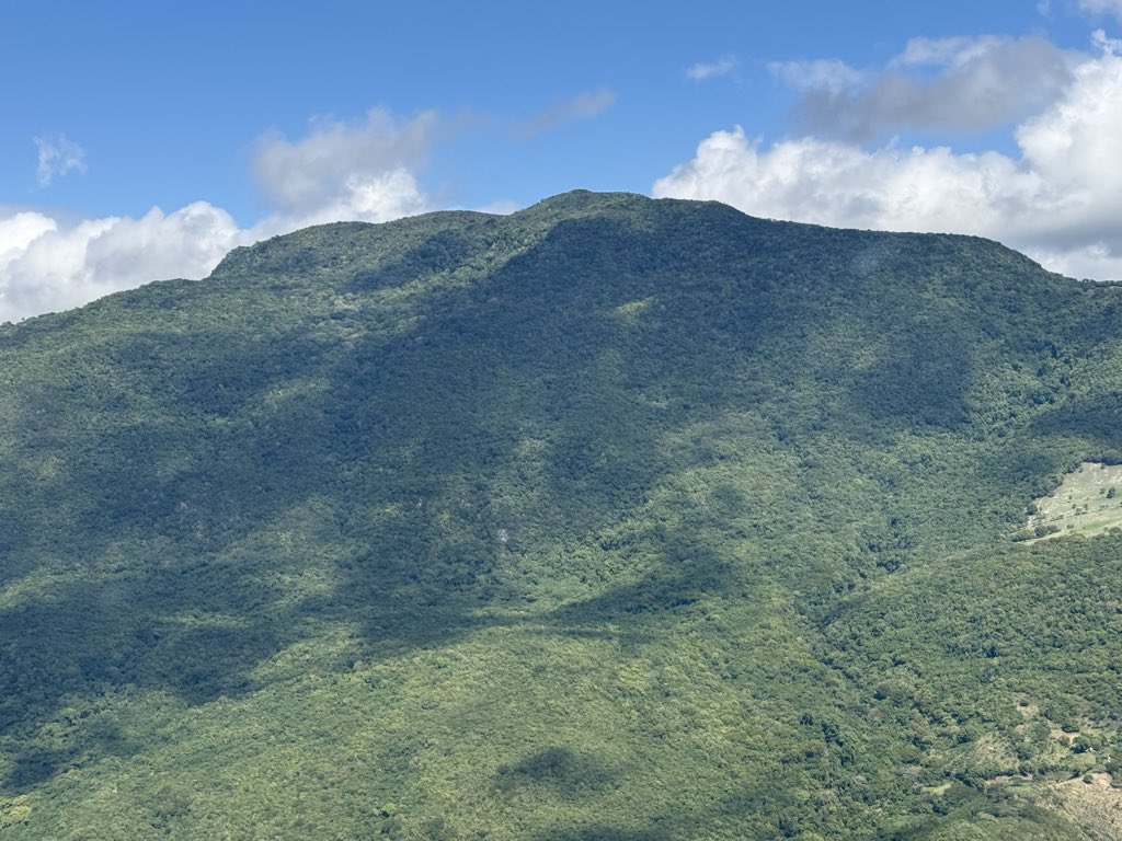 Fernando Anibal Capellan Peralta tweet media