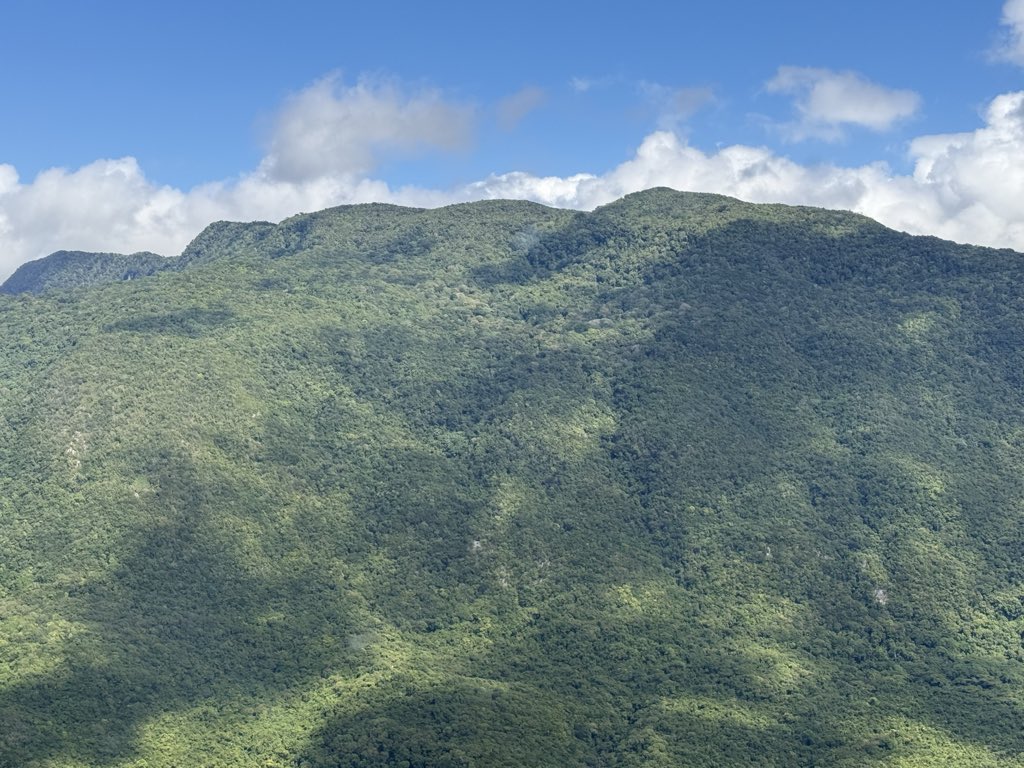 Fernando Anibal Capellan Peralta tweet media