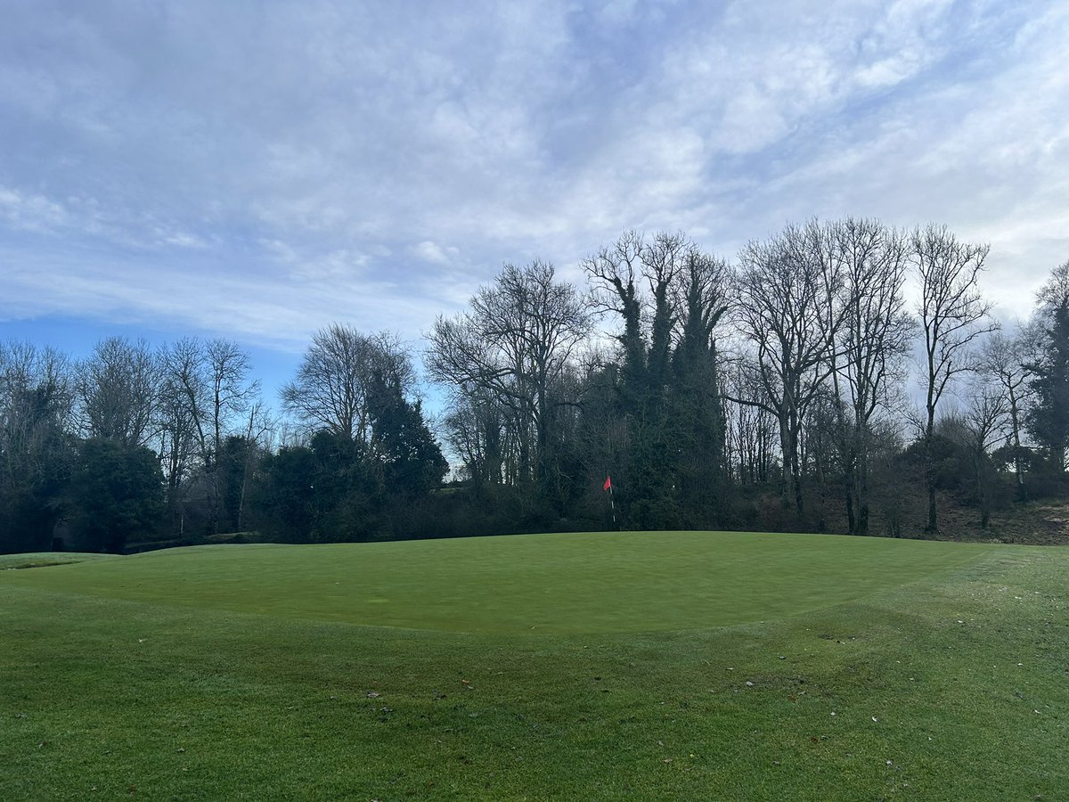 David A. Minogue tweet media