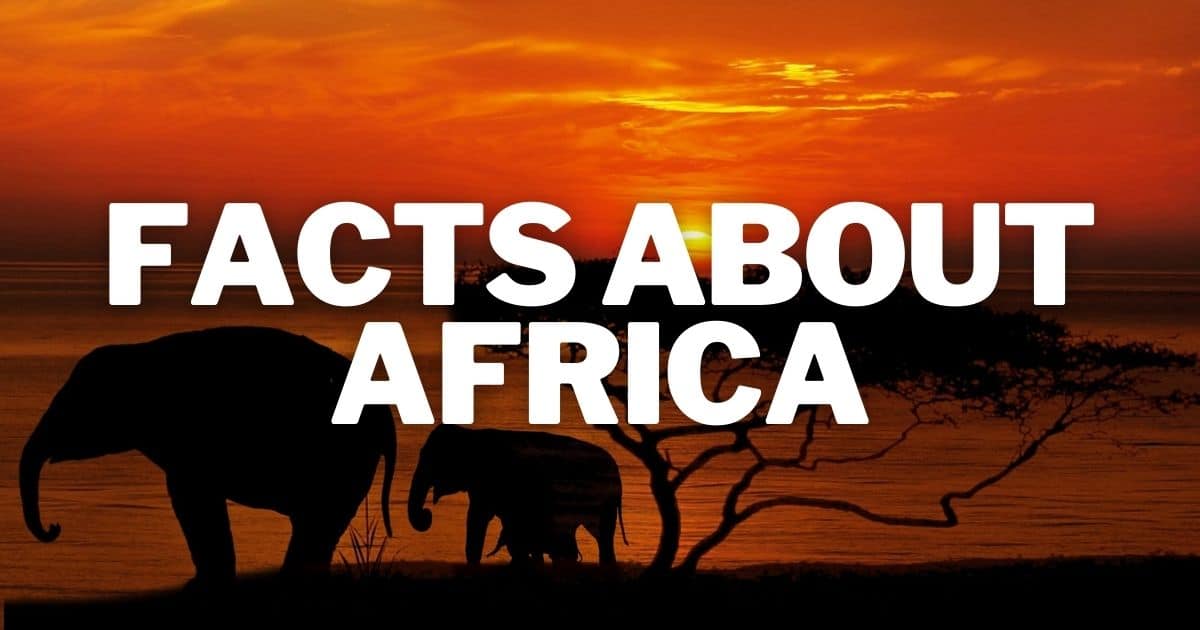 PIfeanyii's tweet image. Did you know??

Every African country tells a different story.

Here are some FACTS YOU don't know about Africa.

The Cleanest City in Africa is Kigali, Rwanda 🇷🇼
 
● Most Expensive City – Luanda, Angola 🇦🇴

● Most Dangerous (by crime index rankings) – South Africa 🇿🇦

🛡…