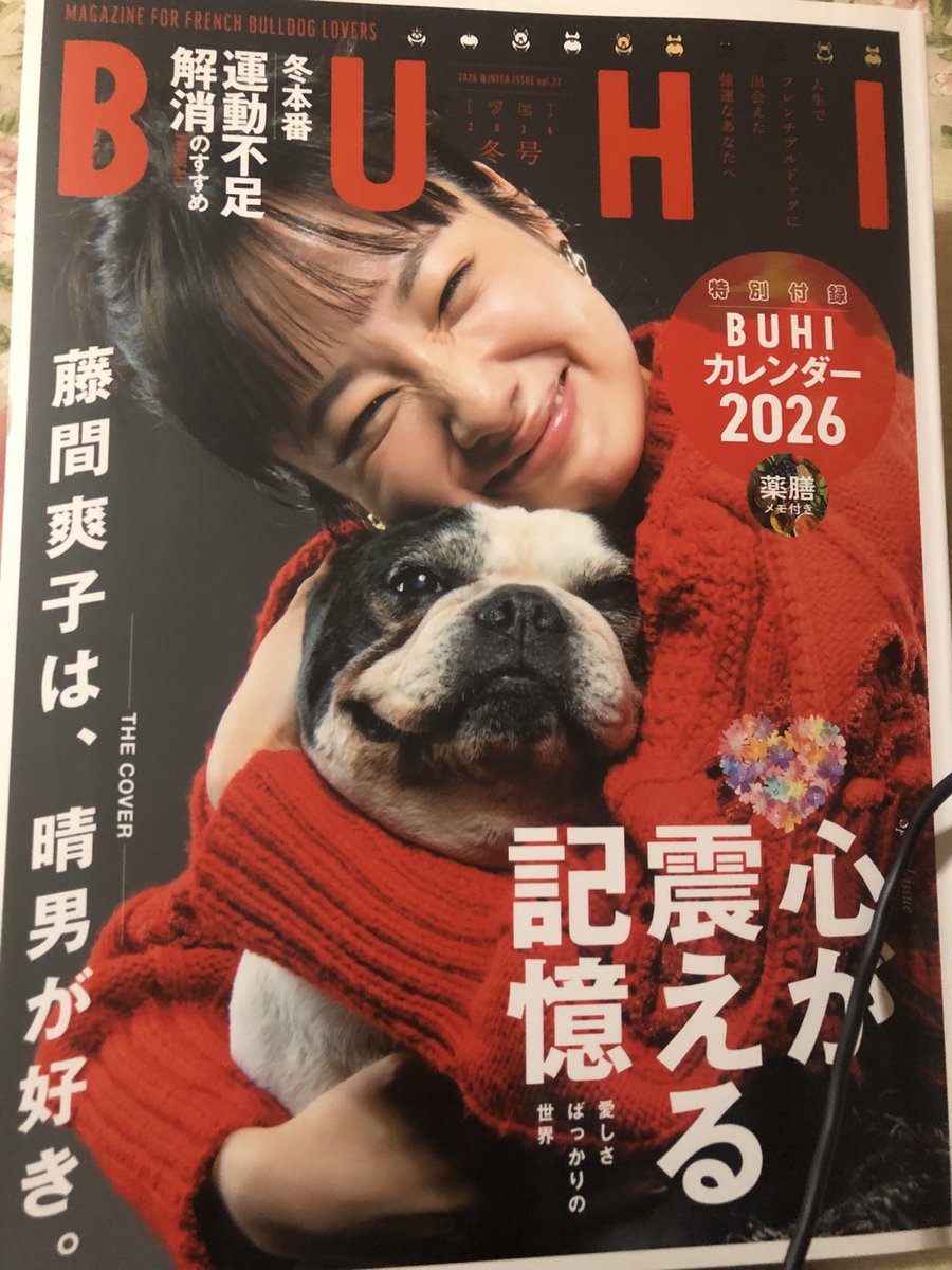 aro_takahiro's tweet photo. 最近、興味がある
ロジャーが仲の良いブヒ犬の事を勉強します📚📖 https://t.co/wxVRP1WB5Y