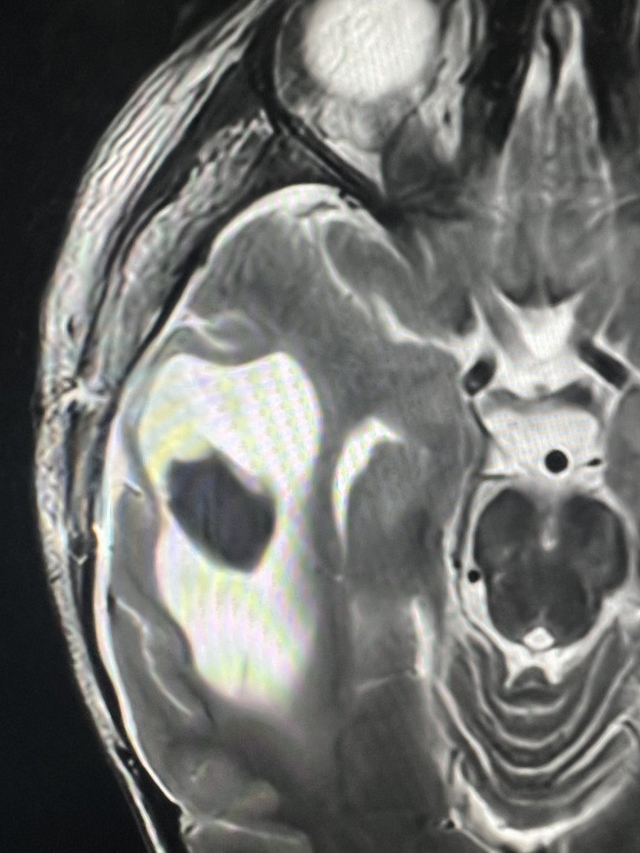 Dr Kish Mankad tweet media