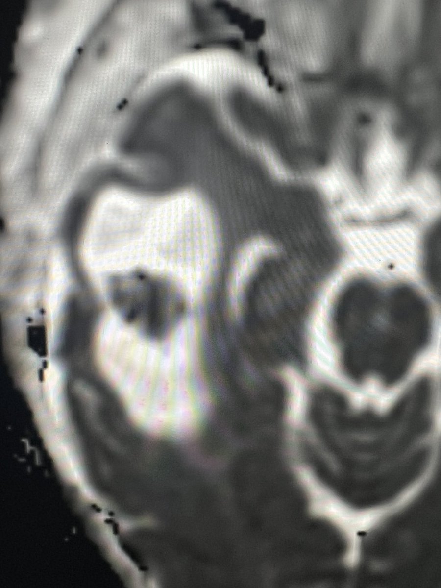 Dr Kish Mankad tweet media