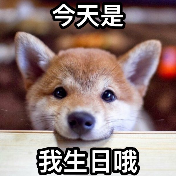 獺熊是一隻東東ʕ⸝⸝⸝˙Ⱉ ˙ ʔ tweet media