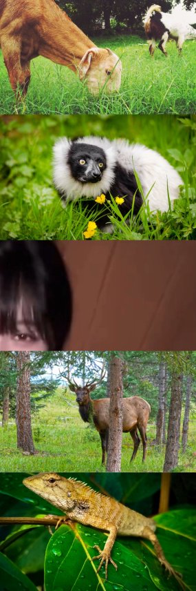 あ、かわいい…///
cdn.videy.co/Qcduo5oA1.mp4