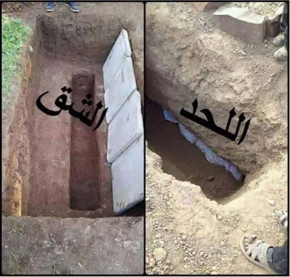 abumuawiy7's tweet photo. قال النبي صلى الله عليه و سلم : اللحد لنا و الشق لغيرنا. حديث صحيح.

الصورة التي فيها اللحد ، هكذا دفن النبي صلى الله عليه و سلم و هذه هي السنة وهكذا يجب علينا نحن المسلمين أن ندفن.

الشق جائز ليس منهي عنه و يكون غالبا في الأراضي الرملية التي لا يمكن أن نحفر فيها اللحد لكن اللحد هو الأفضل و هو السنة.