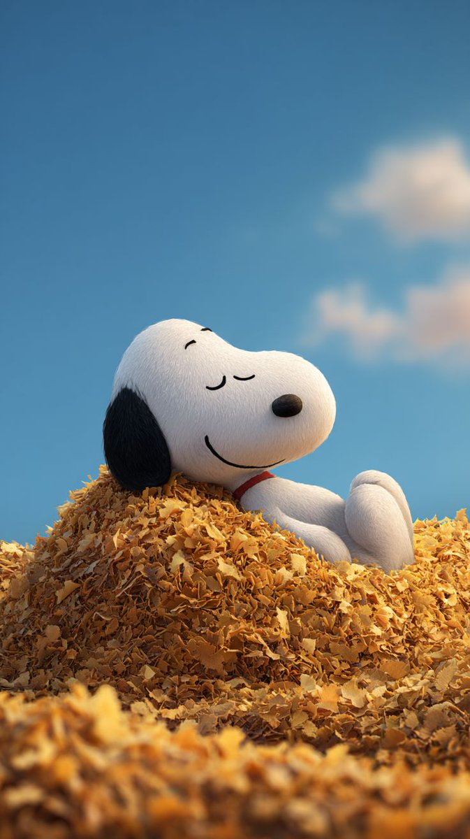 snoopyb047's tweet photo. Snoopy ❤️ https://t.co/GBgt1UKA7t