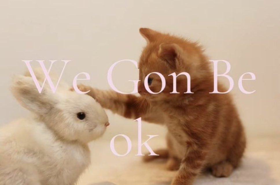 ✧ (@northstardoll) on Twitter photo 