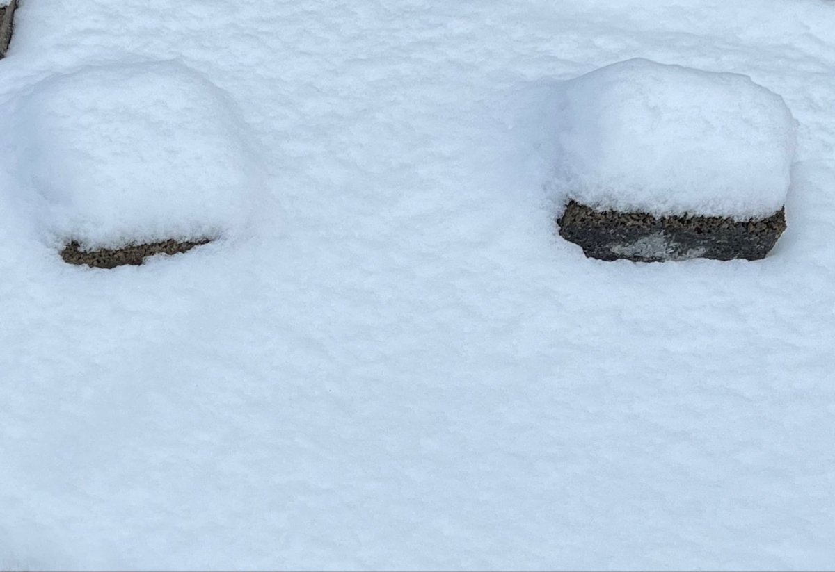 巖谷國士 tweet media