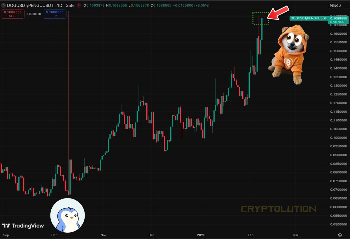 $DOG (Bitcoin) Dominance against $PENGU just set a Higher High 👀