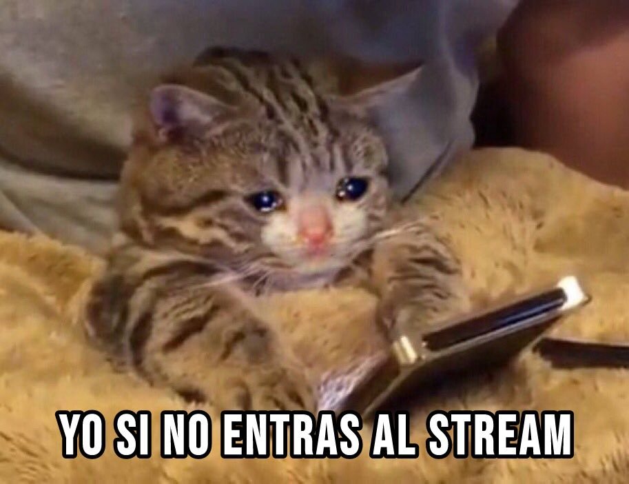 AntonioRed tweet media