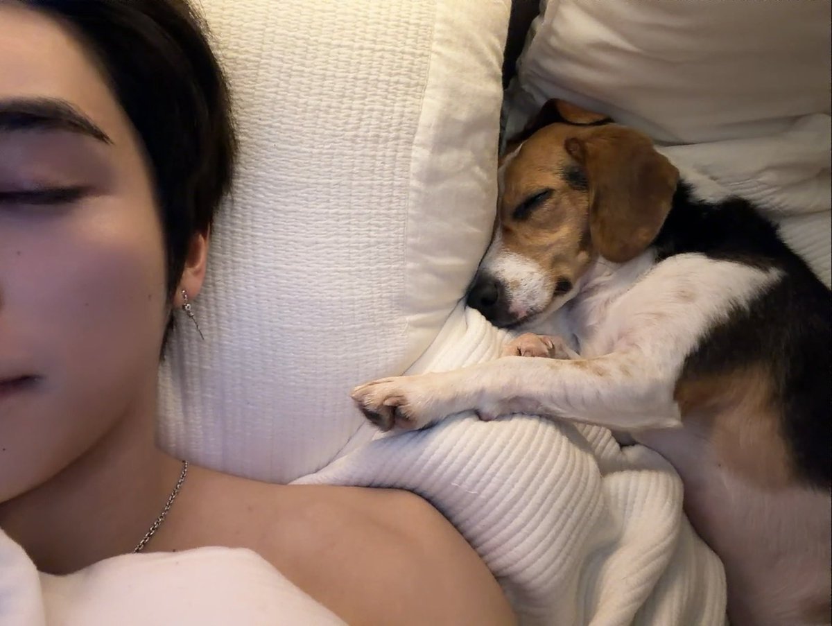 𝑐𝑛 tweet media