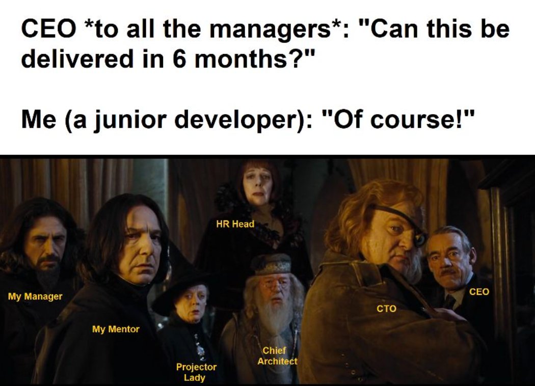 Programmer Humor tweet media