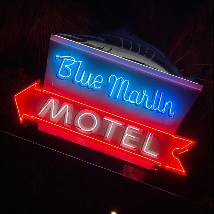 BlueMarlinMotel tweet media