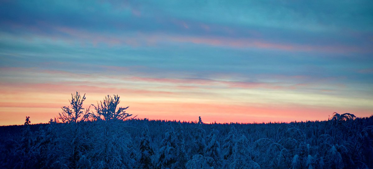 TeaMaria48's tweet photo. #nature #lapland #winter #valokuvaus #honor200prophotography #visitlapland #finland #sky #suomi #sunsetphotography https://t.co/dqSpPOR9gq