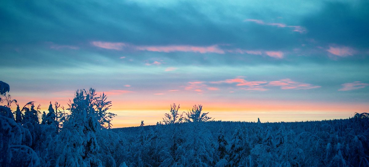 TeaMaria48's tweet photo. #nature #lapland #winter #valokuvaus #honor200prophotography #visitlapland #finland #sky #suomi #sunsetphotography https://t.co/dqSpPOR9gq