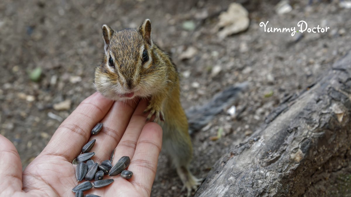 What if your next wellness step is curiosity? 

Investigation looks like noticing patterns, timing, triggers, intensity, and change. It means asking simple questions. When did this start? What improves it? What worsens it? What else is happening at the same time? 

Giving