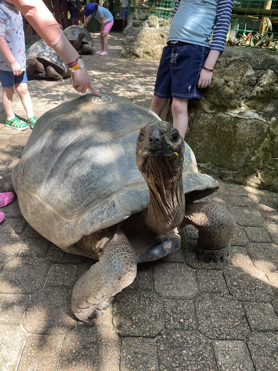 Tom Grant tweet media