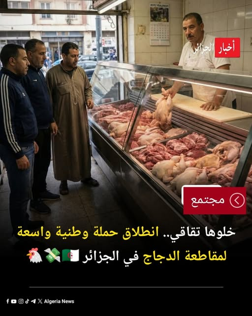 🇩🇿 1.2.3 viva l'algerie tweet media