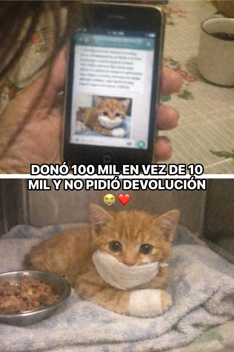 Mi mamá quiso donar 10 mil pesos a un refugio de gatos y por error le puso un cero de más y mandó 100 mil, cuando el refugio le dijo que le devolvían la diferencia pasó algo que no me esperaba 😭

El refugio le mandó un mensaje diciéndole "señora creemos que se equivocó" y le