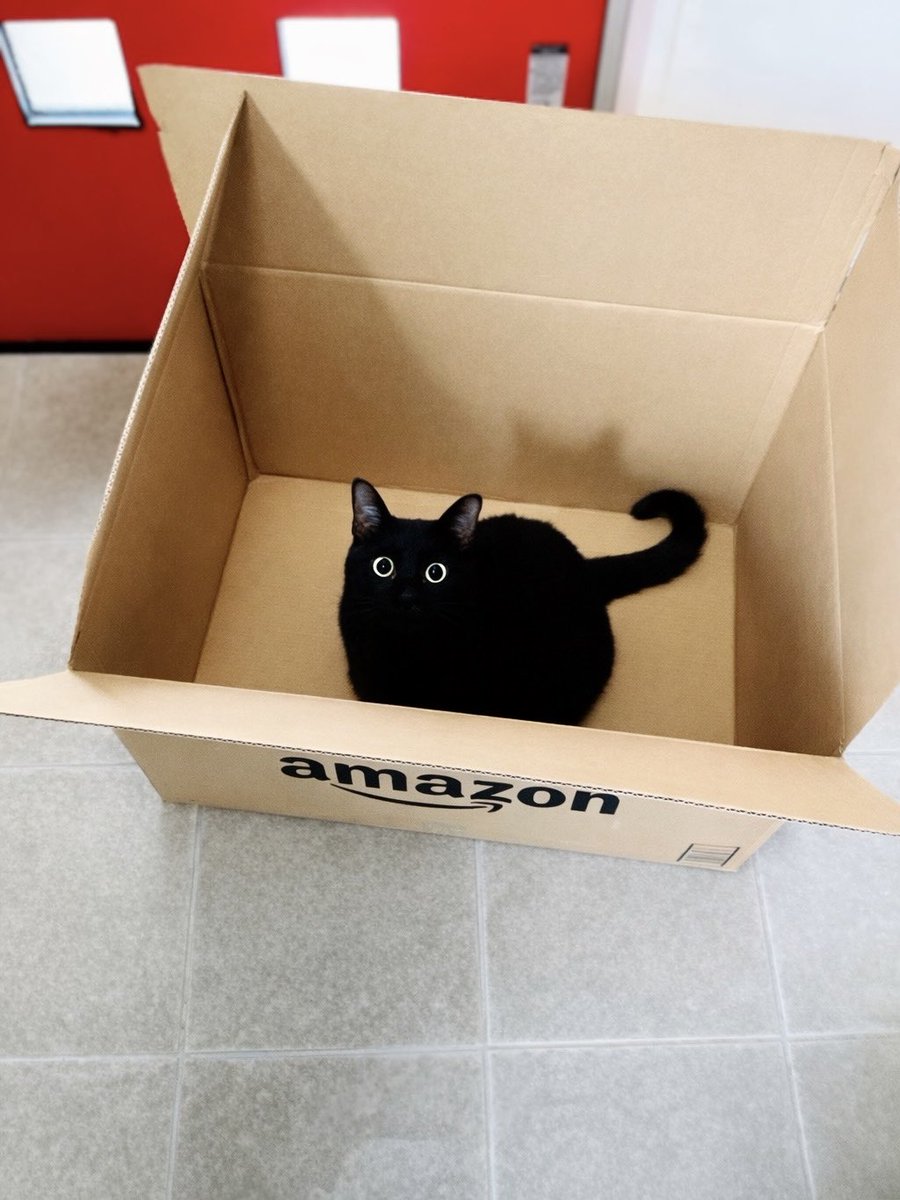 クロネコのお届けもの📦
　#たっくん