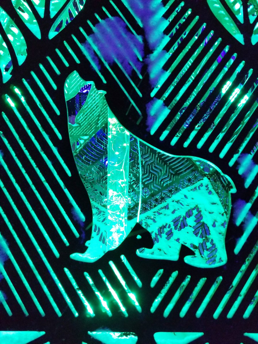 1/2 checking out Crystal Gardens at Confederation Park...#winterlude