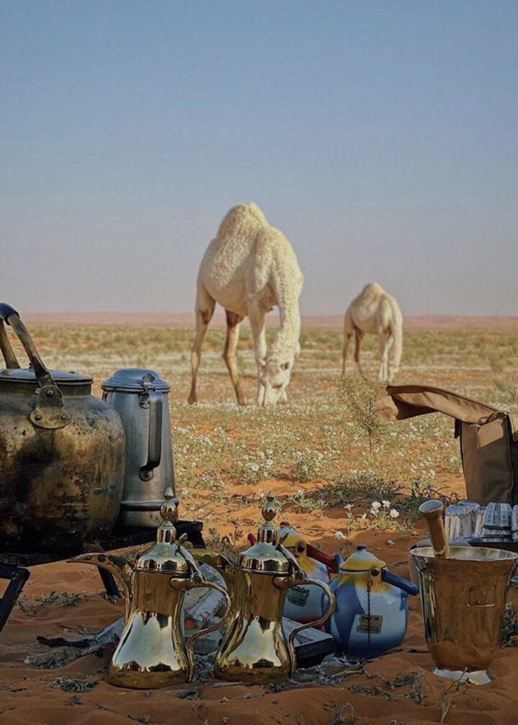 قروب اشعار tweet media