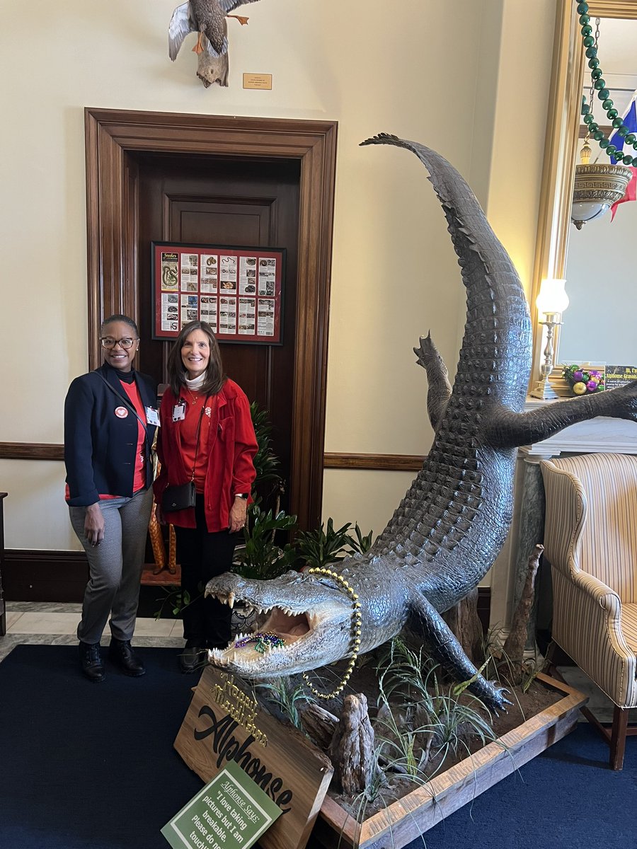 MyHeartHands's tweet photo. Reflecting on a powerful and impactful week in Washington, DC with WomenHeart: The National Coalition for Women with Heart Disease at the WomenHeart Summit &amp; Advocacy Day on Capitol Hill. https://t.co/T09UGk4JAW