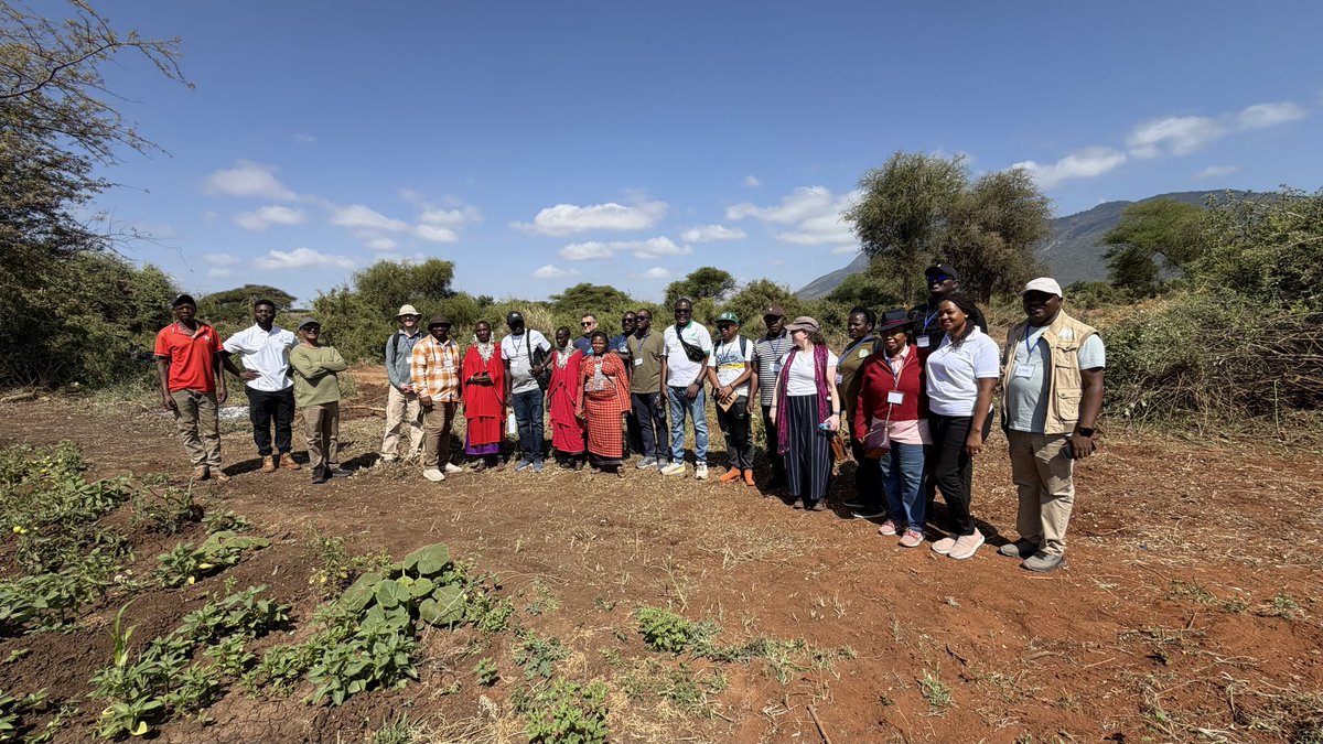 APEM RDC 1 tweet media