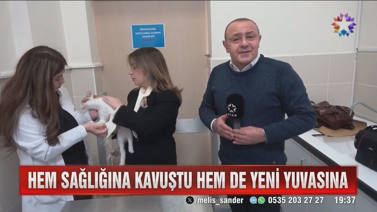 Ne hekim umudunu kaybetti ne de minik kedi
#samsun #omü #kedi #ampute #lazertedavisi

haber55.com.tr/ne-hekim-umudu…