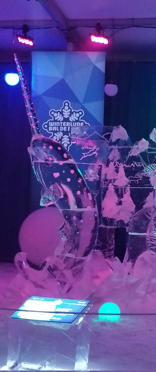 2/2 Checking out the Crystal Gardens at Confederation Park...#winterlude