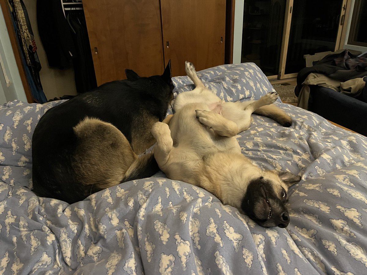 Laura Kosloff tweet media